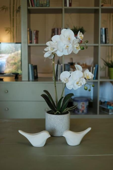 Apartment With Garden In Thessaloniki. Esterno foto